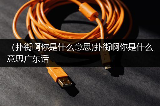 （扑街啊你是什么意思)扑街啊你是什么意思广东话
